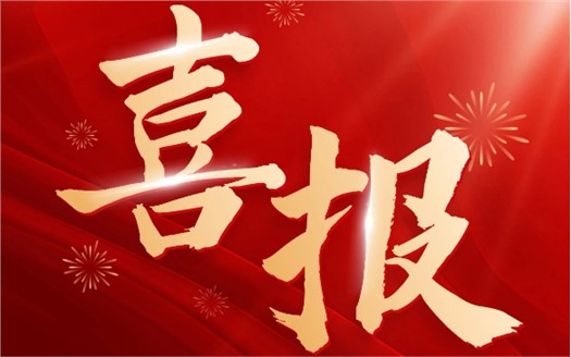 集团荣膺2025中国民营企业500强第249位，制造业民营企业500强第177位，排名较去年双双大幅提升